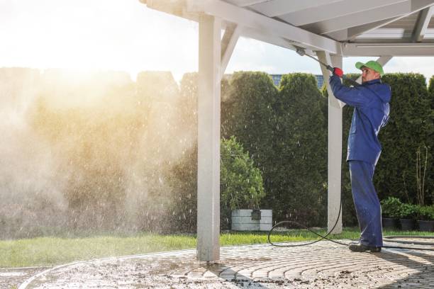 Best Patio and Deck Pressure Washing  in Westchester, IL